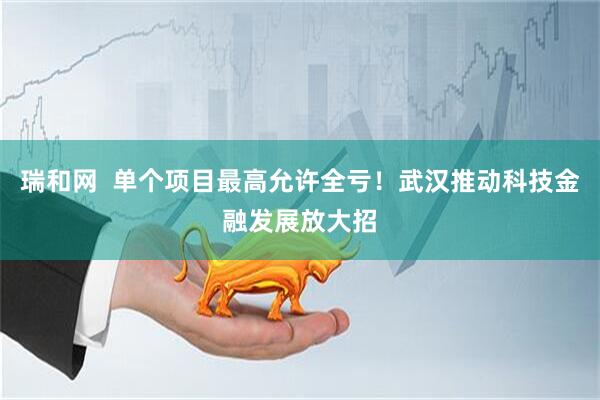 瑞和网  单个项目最高允许全亏！武汉推动科技金融发展放大招