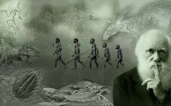 牛豆网 一个简单的实验，得出颠覆性的结论：万物皆有意识！