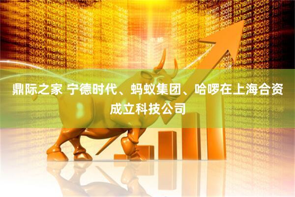鼎际之家 宁德时代、蚂蚁集团、哈啰在上海合资成立科技公司