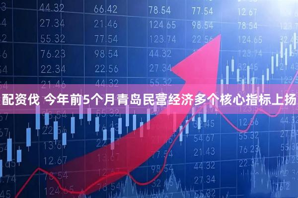 配资伐 今年前5个月青岛民营经济多个核心指标上扬