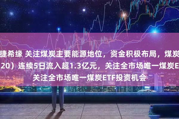 捷希缘 关注煤炭主要能源地位，资金积极布局，煤炭ETF（515220）连续5日流入超1.3亿元，关注全市场唯一煤炭ETF投资机会