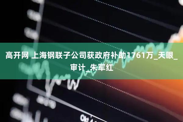 高开网 上海钢联子公司获政府补助1761万_天眼_审计_朱军红