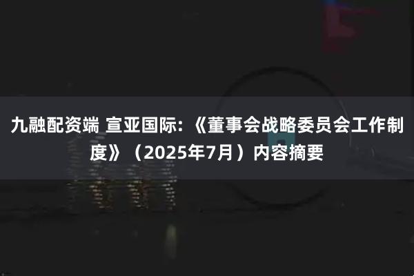 九融配资端 宣亚国际: 《董事会战略委员会工作制度》（2025年7月）内容摘要