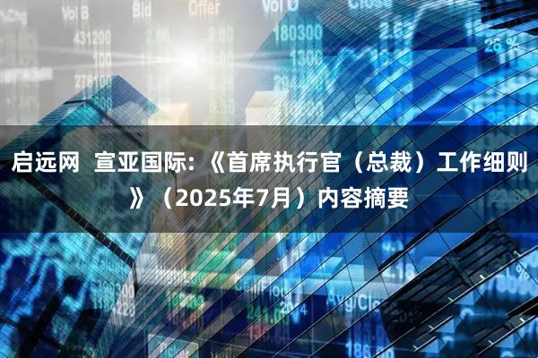 启远网  宣亚国际: 《首席执行官（总裁）工作细则》（2025年7月）内容摘要