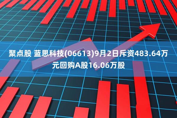 聚点股 蓝思科技(06613)9月2日斥资483.64万元回购A股16.06万股