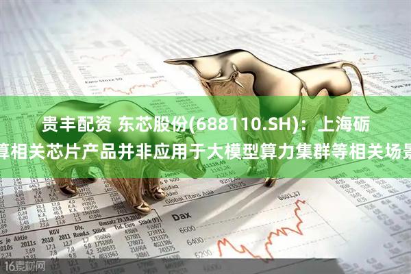 贵丰配资 东芯股份(688110.SH)：上海砺算相关芯片产品并非应用于大模型算力集群等相关场景