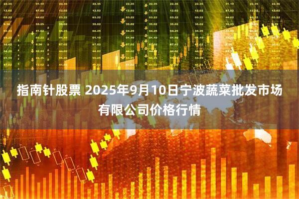 指南针股票 2025年9月10日宁波蔬菜批发市场有限公司价格行情