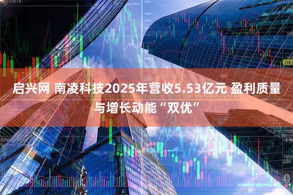 启兴网 南凌科技2025年营收5.53亿元 盈利质量与增长动能“双优”